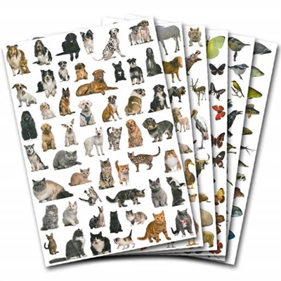 Stickers/Klistermærker med dyr - leveres til døren fra Aktivslivern.dk