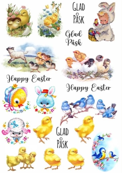 Transferark Kyllinger, A4 